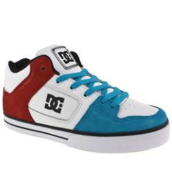 Male Radar Leather Upper Dc Shoes in White and Pale Blue