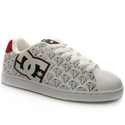 Male Rob Dyrdek Too Leather Upper Dc Shoes in White and Black, White and Green