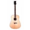 Dean Acoustic Traditional Exotic Guitar -