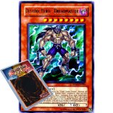 Deckboosters Yu Gi Oh : DP05-EN004 Unlimited Edition Destiny Hero - Dreadmaster Rare Card - ( Aster Phoenix YuGiO
