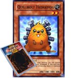 Yu-Gi-Oh : TDGS-EN003 Unlimited Ed Quillbolt Hedgehog Common Card - ( The Duelist Genesis YuGiOh Single Card )