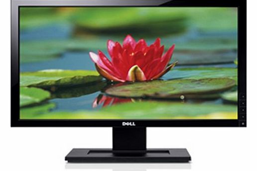 IN2020 20-inch Widescreen LCD TFT Monitor