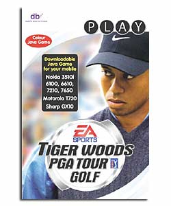 Digital Bridges Sports Tiger Woods PGA Tour Golf Java
