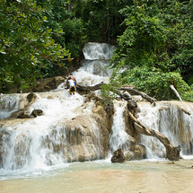 Discover Dunns River Falls from Montego Bay