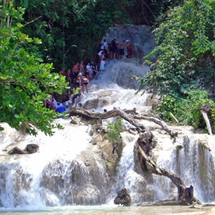 Dunns River Falls from Negril -