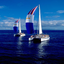 Molokini Sailing Tour - Adult