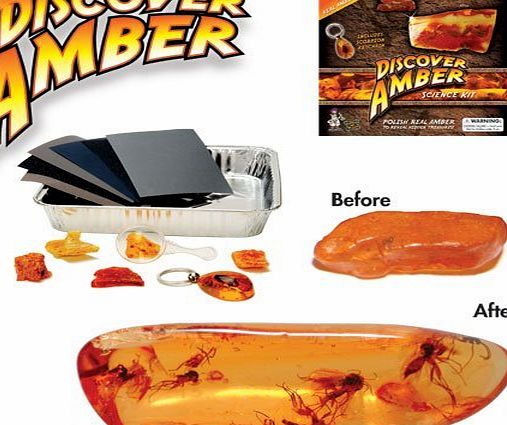 Discover with Dr. Cool Discover Amber Science Kit - Polish Real Amber in search of Ancient Bugs!