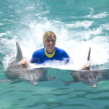Discovery Cove Trainer For A Day (2014) -