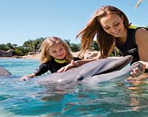 Discovery Cove ULTIMATE Package (2016) -