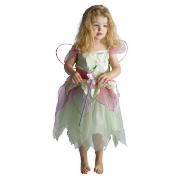 Disney Fairies Tinkerbell Fancy Dress Outfit