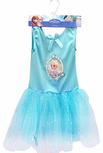 Disney Frozen Elsas Costume - Medium (Age 5-6)