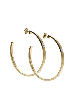DKNY Jewellery DKNY Steel Charming Logo Hoop Earrings NJ1406040