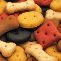 Pointer Dog Biscuits Bulk Treats Charcoal Cobs