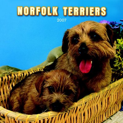 Dogs Norfolk Terrier 2006 Calendar