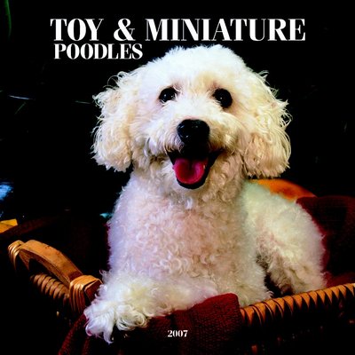 Dogs Poodle - Toy and Miniature 2006 Calendar