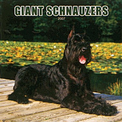 Dogs Schnauzer - Giant 2006 Calendar