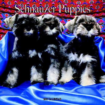 Dogs Schnauzer - Puppies 2006 Calendar