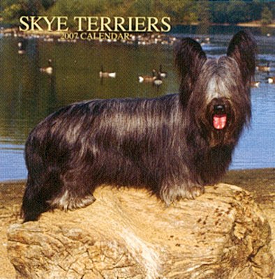 Dogs Skye Terrier 2006 Calendar