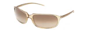 Dolce & Gabbana 477S sunglasses