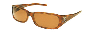 Dolce & Gabbana 643S Sunglasses