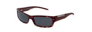 Dolce & Gabbana 801S Sunglasses