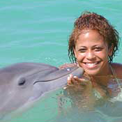 Dolphin Encounter from Negril - Adult