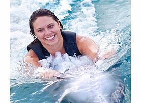 Dolphin Swim from Ocho Rios - Child