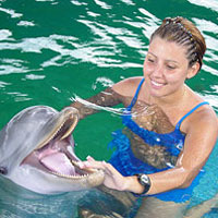 Dolphin Swim Ocean World Dolphin Swim