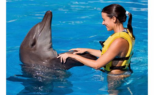 Dolphin Swims at Wet n Wild Cancun