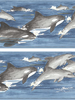 Dolphins Wallpaper Border