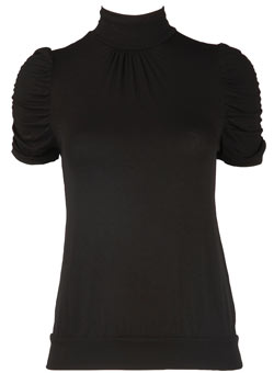Dorothy Perkins Petite ruch sleeve roll neck