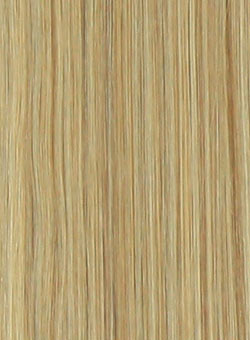 Silky Straight ash blonde hair extensions