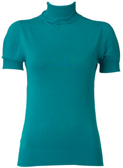 Dorothy Perkins Teal roll neck top