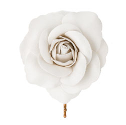 Dorothy Perkins White rose clip