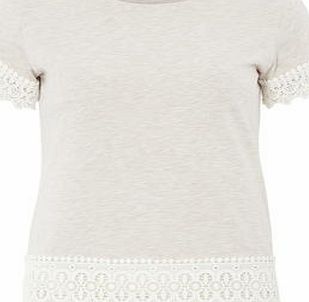 Dorothy Perkins Womens Contrast Lace Trim Top- Ivory DP56428121