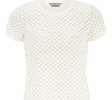 Dorothy Perkins Womens Ivory spotted burnout tee- White DP79264100