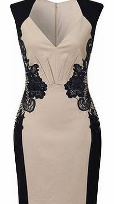 Dorothy Perkins Womens Little Mistress Cream and navy lace