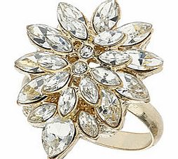 Dorothy Perkins Womens Millie Petal Stone Ring- Gold DP49814782