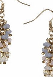 Dorothy Perkins Womens Ombre Bead Cluster Earrings- Pastel Mix