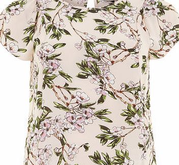 Dorothy Perkins Womens Petite floral Textured top- Pink DP79288414