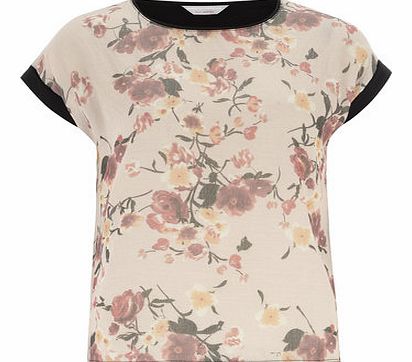 Dorothy Perkins Womens Petite floral woven front tee- Wine