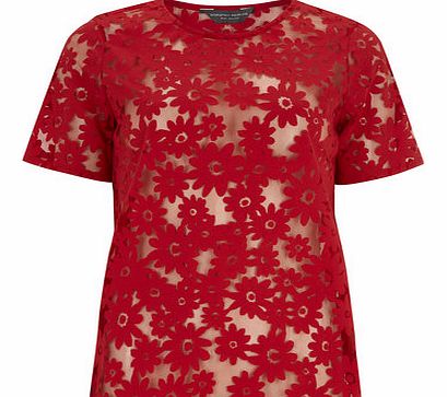 Dorothy Perkins Womens Tall Red Daisy Burnout Tee- Red DP05432212