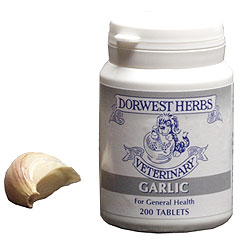 Herbs Garlic Tablets pk 200