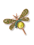 Dragonfly brooch.