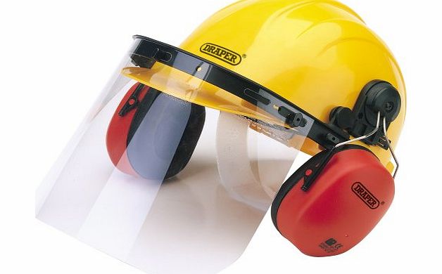 Safety Helmet With Ear Muffs And Visor