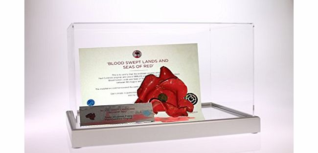 Dream Keepers Large Tower Poppy Display Case with Hand Crafted Wooden Mirror Base and Stunning Metal Plaque on Acrylic Stand