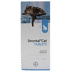 Cat Worming Tablet (1 Tablet)