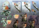 Dufex Craft Products A4 3D step by step Dufex die cut decoupage sheet - Christmas - robins