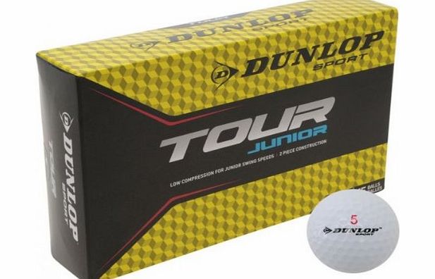 Dunlop Junior Training Equipment Accessories High Flight Tour Golf Balls x15