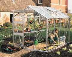 Eden Hidcote 6x10 Greenhouse